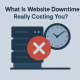 What Is Website Downtime Really Costing You?